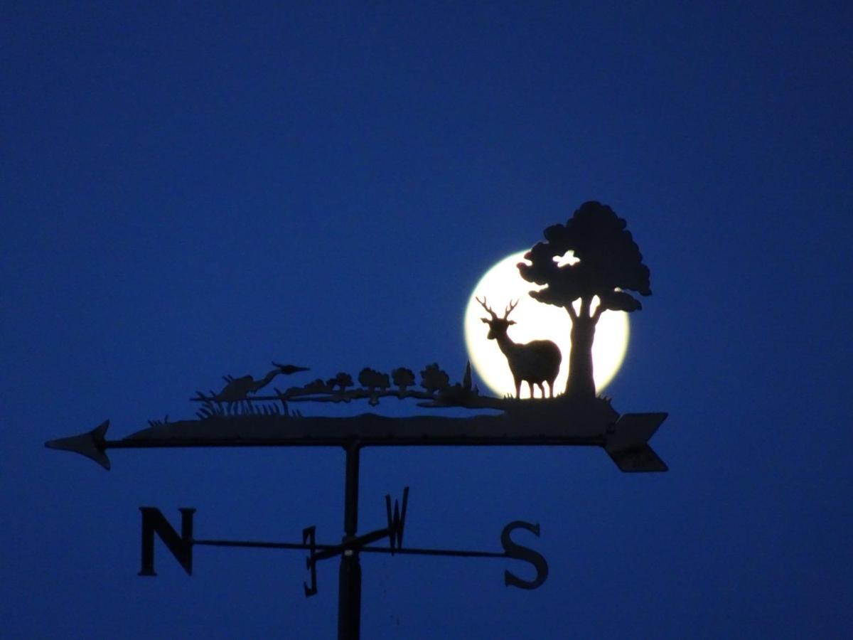 Black Burn Lodge B & B Newcastleton Bagian luar foto